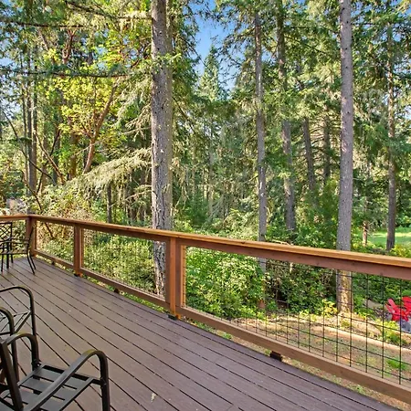 The Classy Cabin